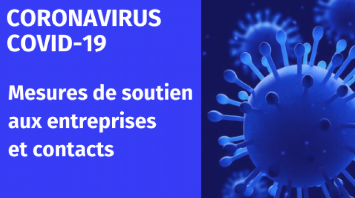 Coronavirus : Mesures de